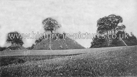 Bartlow Hills, Near Saffron Walden, Essex. c.1903